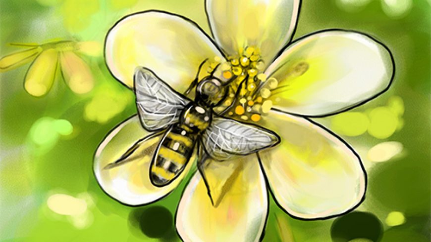 Pollination Support through Beekeeping